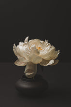 Load image into Gallery viewer, Fountain of Youth Night Cream

